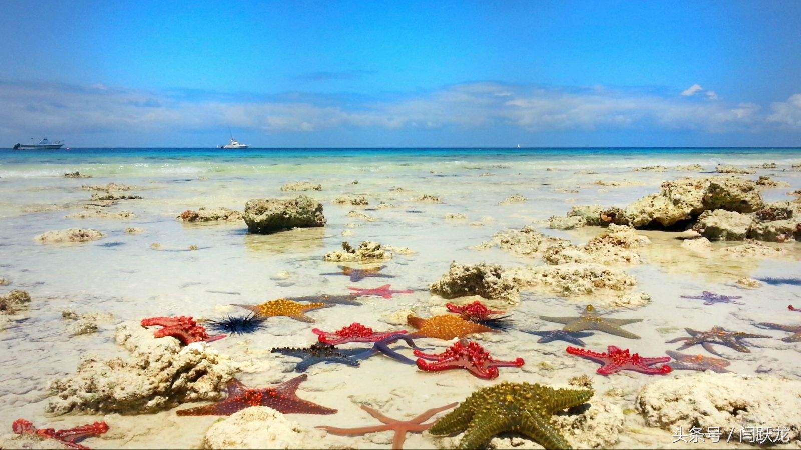 众筹的十大思路,众筹倒闭了吗