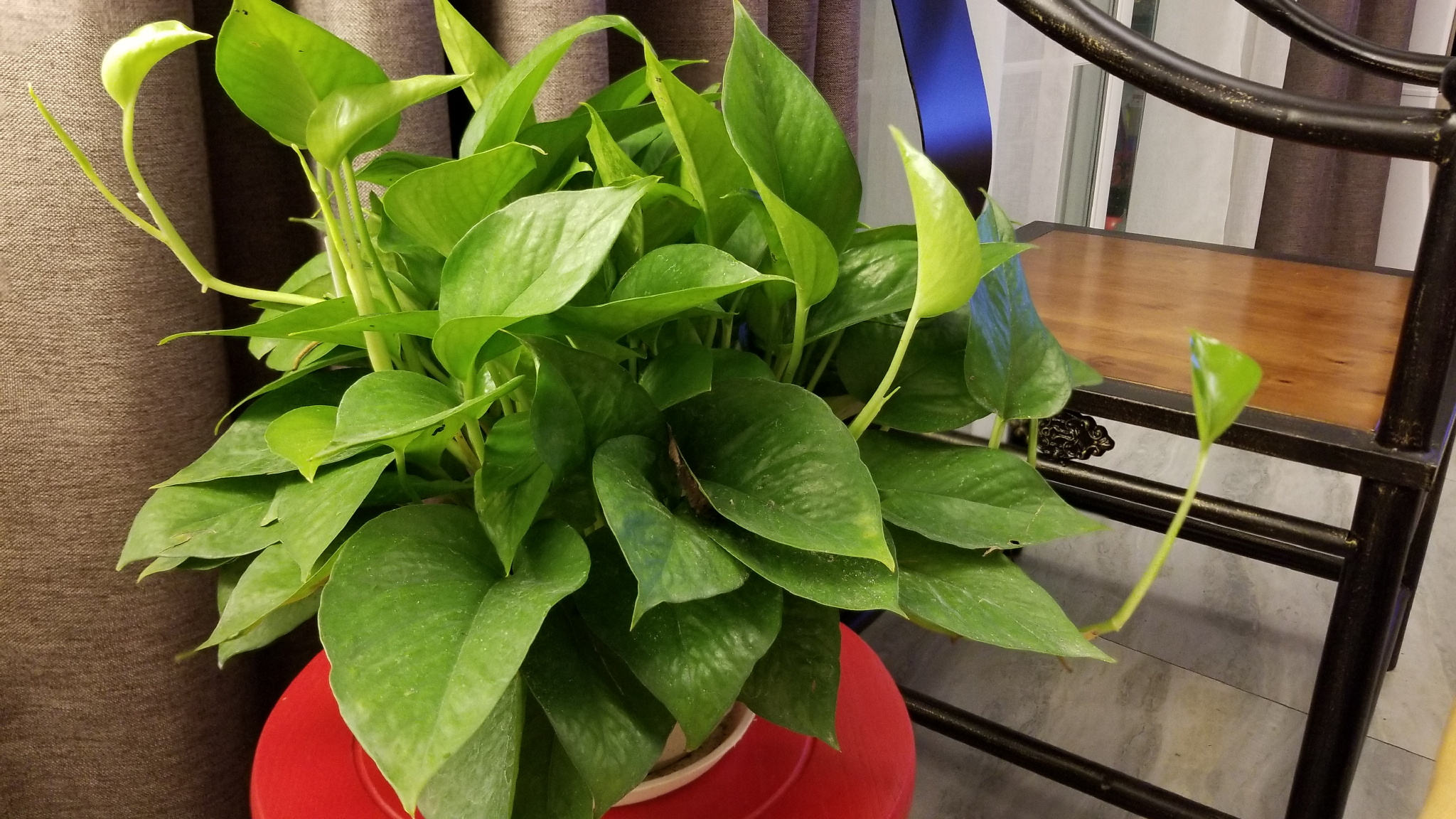 三星s8美版和国行的区别,三星s8国行刷什么系统