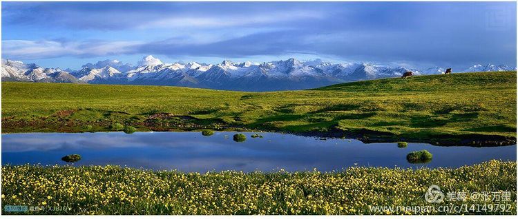 美丽*疆新**100张——美在雪山,美在草原,美在戈壁,美在心灵!