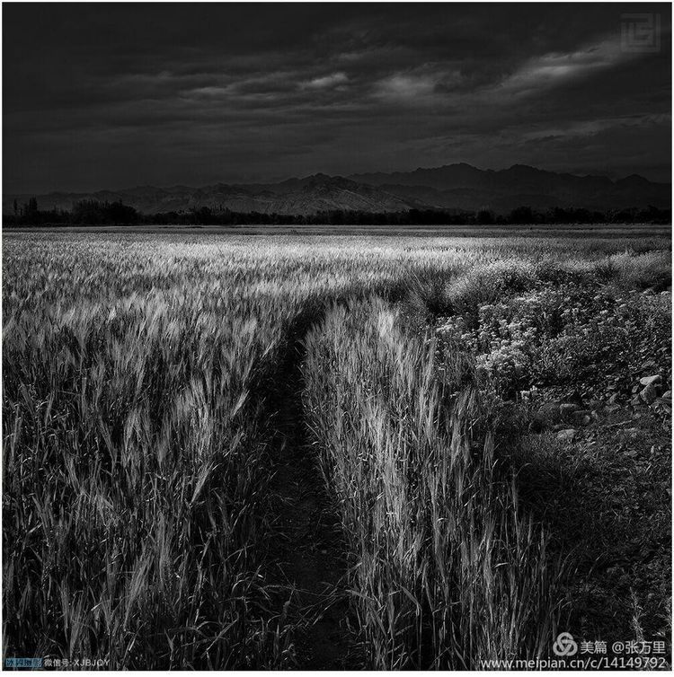 美丽*疆新**100张——美在雪山,美在草原,美在戈壁,美在心灵!