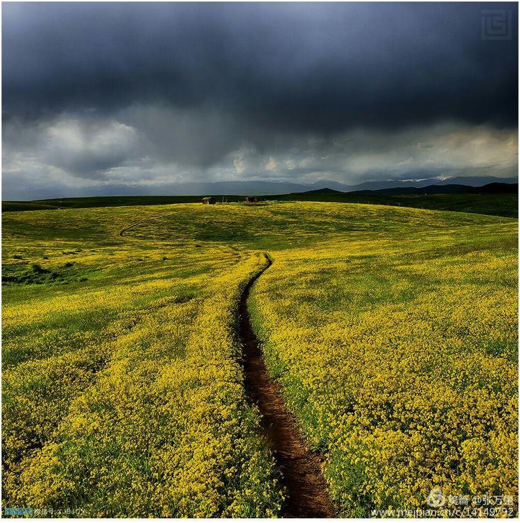 美丽*疆新**100张——美在雪山,美在草原,美在戈壁,美在心灵!