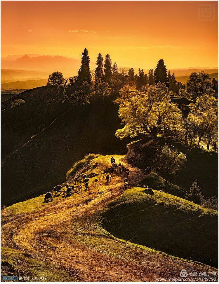 美丽*疆新**100张——美在雪山,美在草原,美在戈壁,美在心灵!