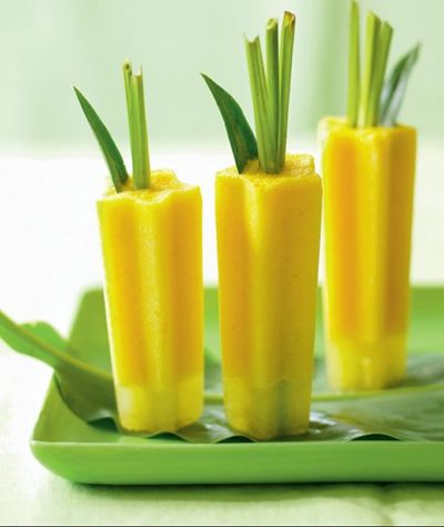 猫咪可以吃的雪糕该怎么做,猫咪能不能吃自制雪糕