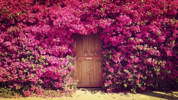 英文小诗100首系列一我有故事你有酒吗？