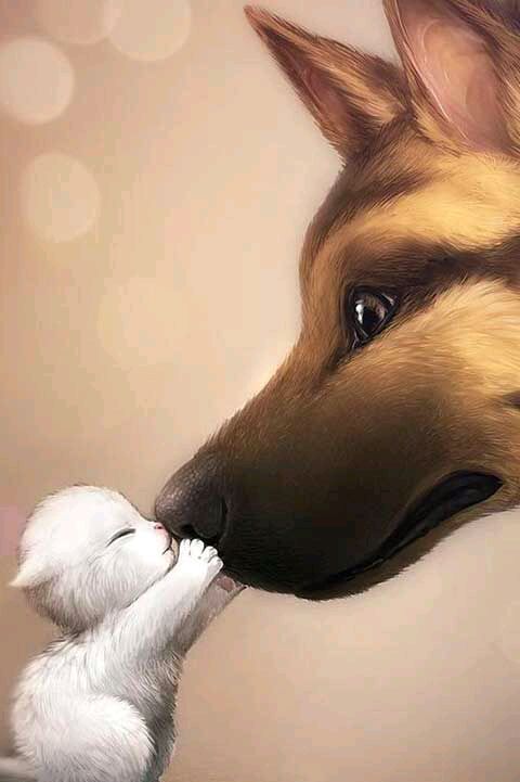 英文小诗100首系列一我有故事你有酒吗？