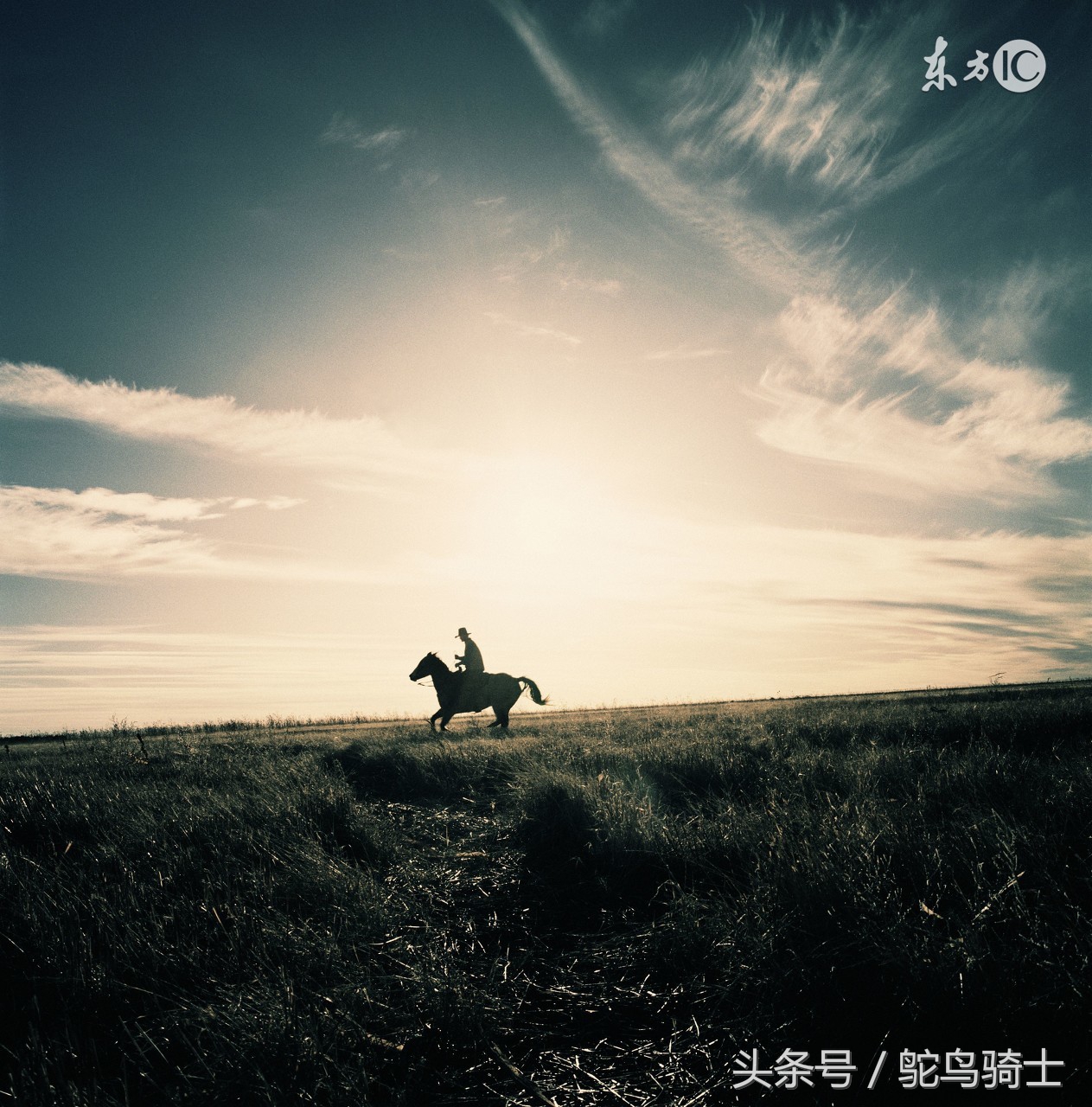 养马还是养车,古时候养马等于现在养车