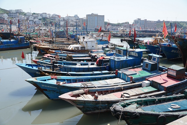 为了旅游凌晨四点出发,什么时间去枸杞岛最好