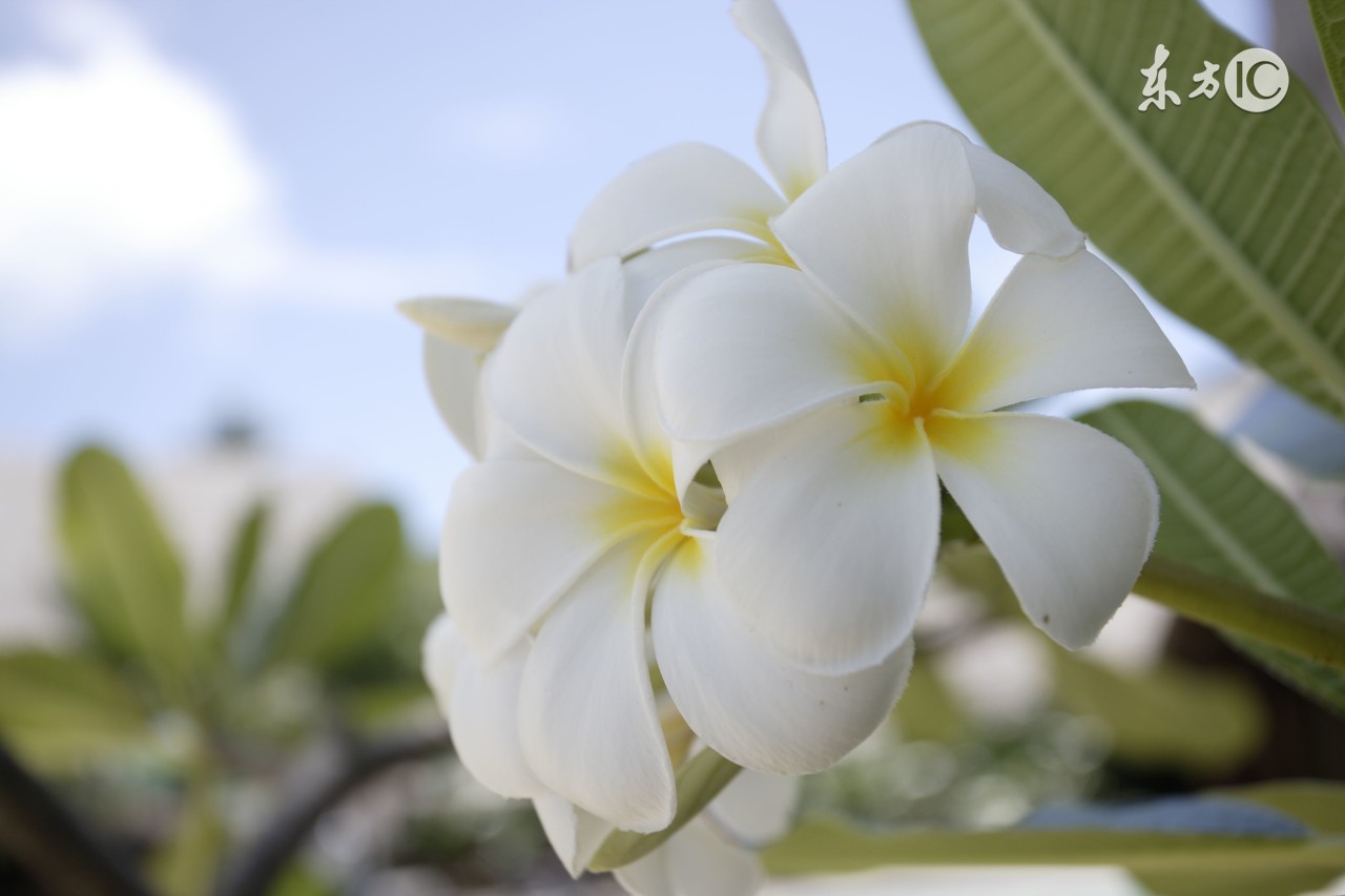 你会送礼物吗？——“小”礼物，最点穴