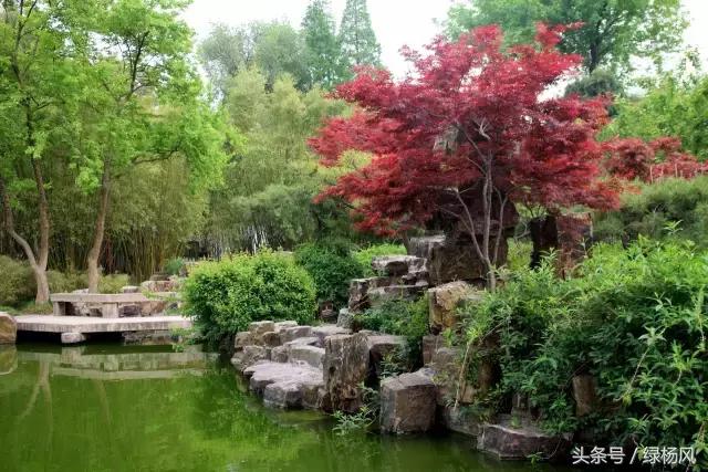 五一扬州瘦西湖风景区门票价格,2022年扬州瘦西湖门票多少钱