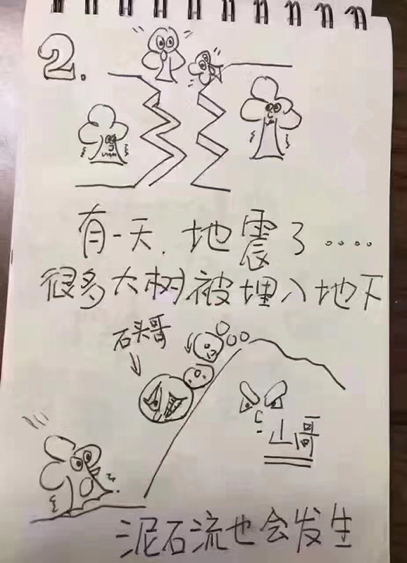 金丝楠乌木是怎么形成的,金丝楠木为什么会变成乌木