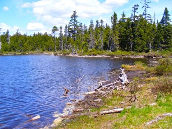 全球最大海潮在哪里,世界上最大的海潮