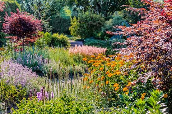 全球最大海潮在哪里,世界上最大的海潮