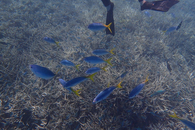 带着思念去旅行完整版,带着思念去海边