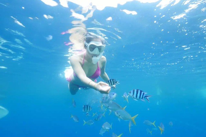 带着思念去旅行完整版,带着思念去海边