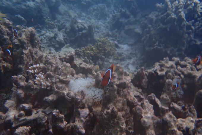 带着思念去旅行完整版,带着思念去海边