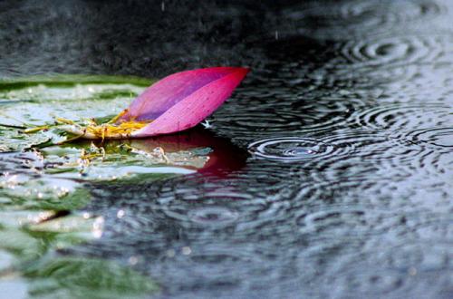 雨季来了你准备好了吗,雨季就要开始了别停留在原地了
