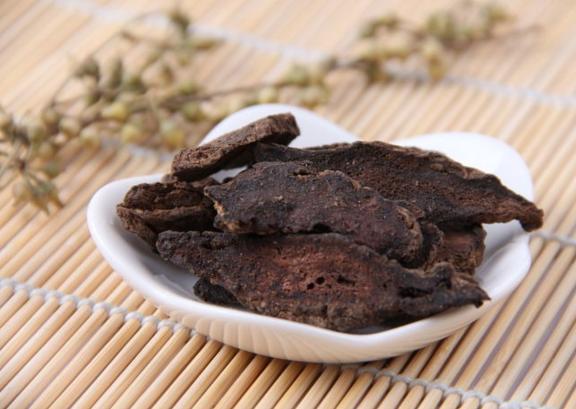 旱莲草的止血功效,旱莲草配什么中药止血效果好