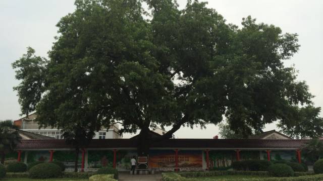 中国最大的高考工厂是哪里,中国最大的高考工厂在哪里