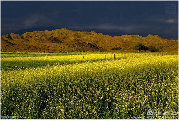 美丽*疆新**100张——美在雪山,美在草原,美在戈壁,美在心灵!