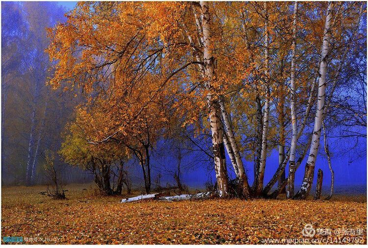 美丽*疆新**100张——美在雪山,美在草原,美在戈壁,美在心灵!