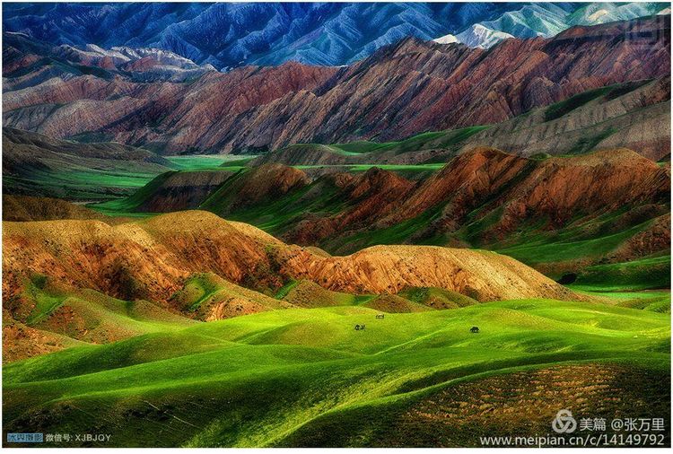 美丽*疆新**100张——美在雪山,美在草原,美在戈壁,美在心灵!