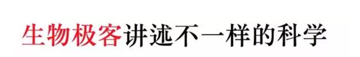 绿色荧光蛋白,怎么看绿色荧光蛋白