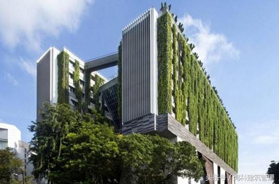 绿色建筑材料的发展现状及展望,绿色建筑的现状和发展趋势论文