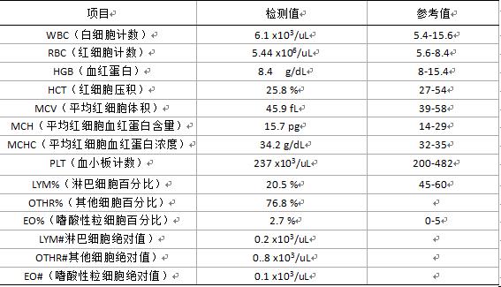 龙猫难产完整版,龙猫难产孩子拽出来