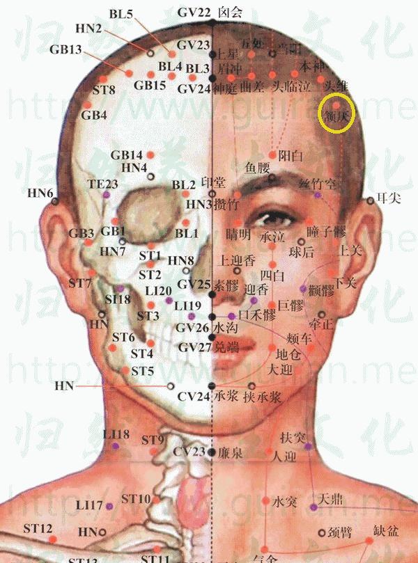 人体穴位大全——颔厌穴:头痛、耳鸣、眩晕、齿痛等