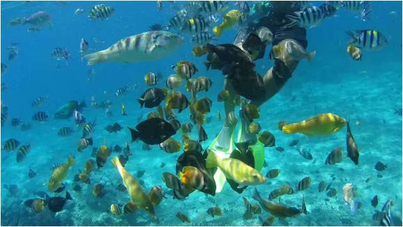 中国白血病女孩征服世界徒步排名首位的安娜普纳大环线,ACT