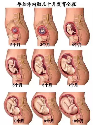 怀孕最重要的时间点是哪一天？