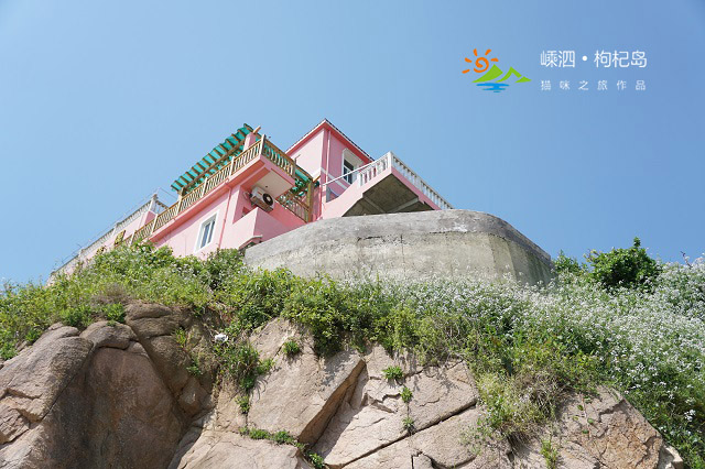 为了旅游凌晨四点出发,什么时间去枸杞岛最好