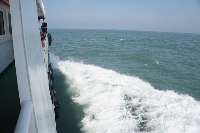 为了旅游凌晨四点出发,什么时间去枸杞岛最好