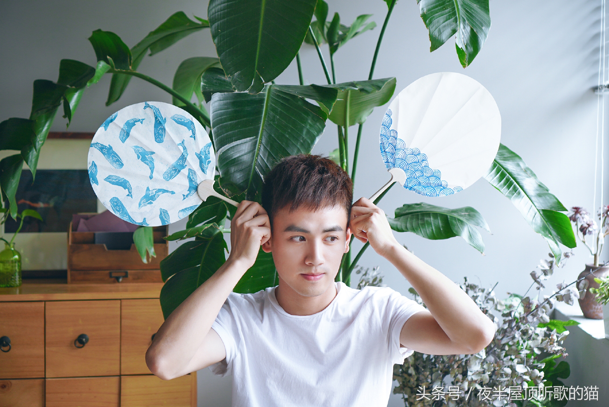 安利一波可爱的小哥哥们①/网络“印象”派