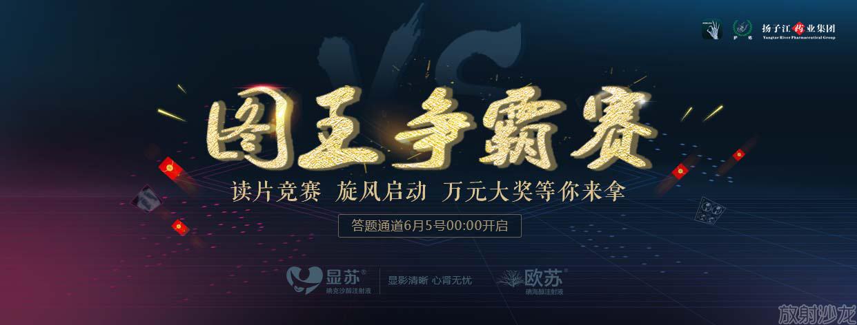 图王争霸赛,图钉拳王争霸赛2011