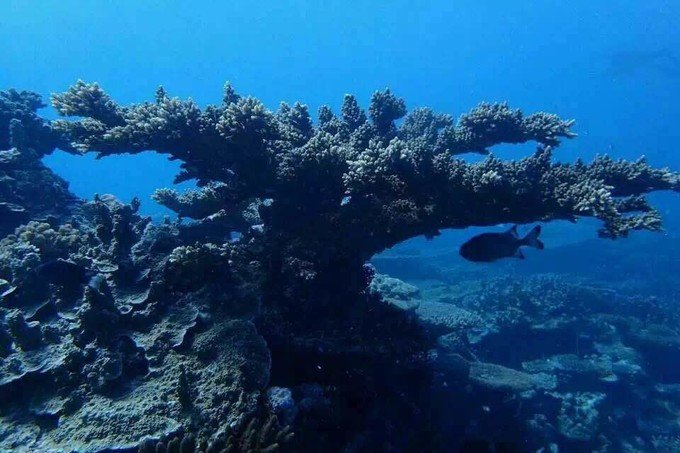 带着思念去旅行完整版,带着思念去海边