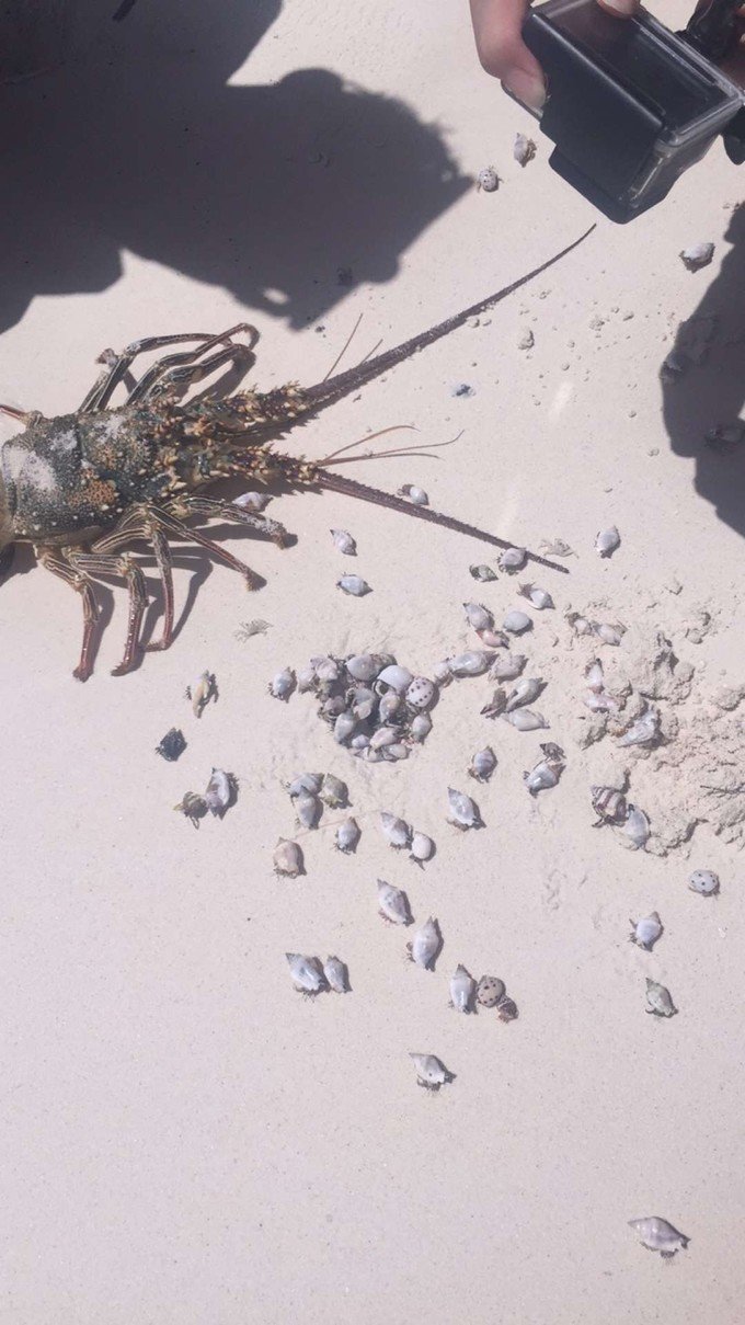 带着思念去旅行完整版,带着思念去海边