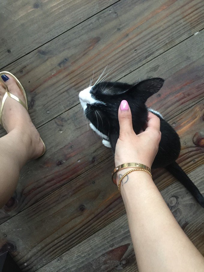 带着思念去旅行完整版,带着思念去海边