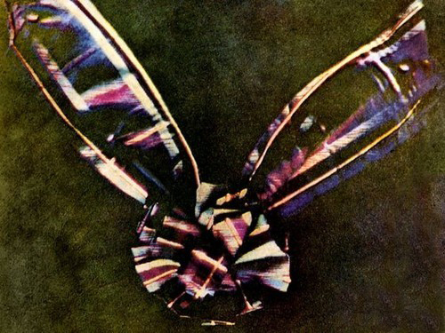 魔术演示时间暂停,揭秘让所有人瞬移的魔术