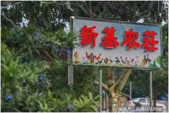 高配的自家农场农庄开始大放价,38蚊/打湛江生蚝!1蚊炸云吞