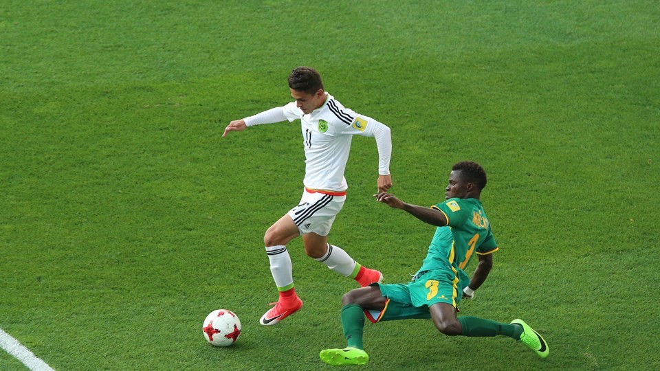 小猪看足球,小猪看篮球