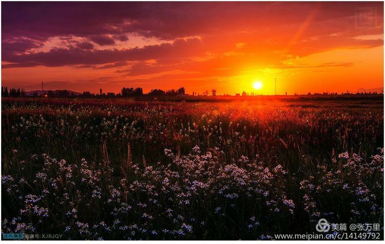 美丽*疆新**100张——美在雪山,美在草原,美在戈壁,美在心灵!