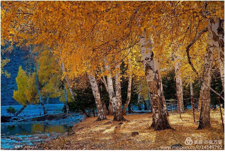 美丽*疆新**100张——美在雪山,美在草原,美在戈壁,美在心灵!