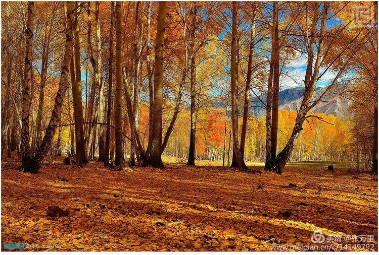 美丽*疆新**100张——美在雪山,美在草原,美在戈壁,美在心灵!