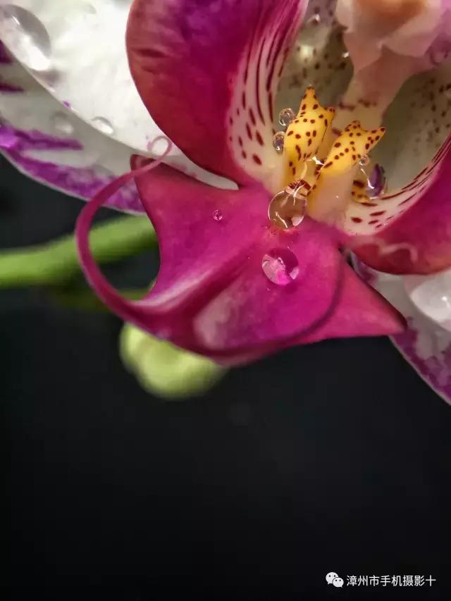 手机拍大片推荐,手机拍出来的大片欣赏