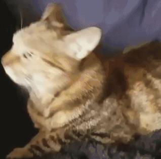 给对象织围脖寓意着分手吗,织围巾送男朋友代表啥