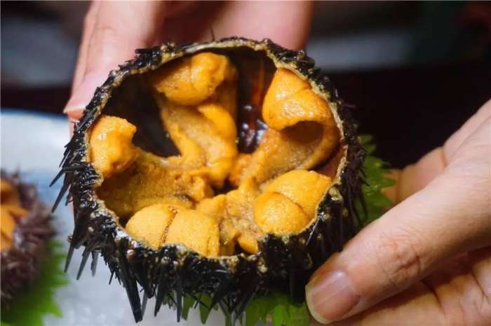 所有的美好都藏在不经意间，日式顶级活造刺身料理等你来寻味！