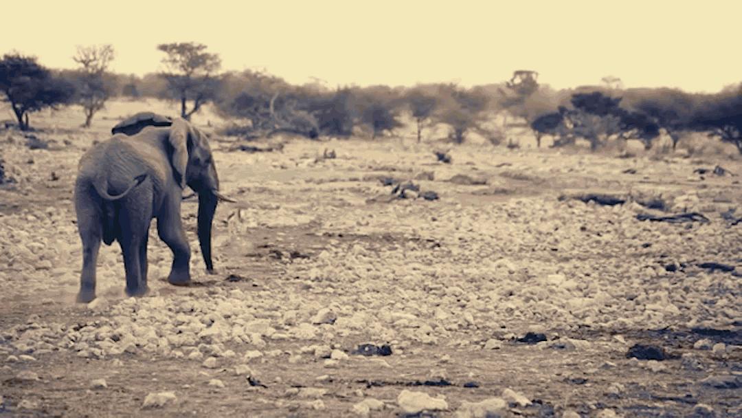 一生必去的地方,一生必去的地方高清