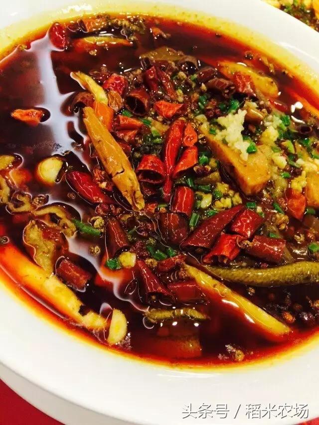 2021上海生日免费攻略,上海生日当天免费优惠2019年