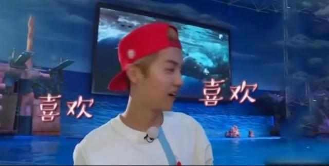 热巴亲海豚是什么时候,热巴和海豚